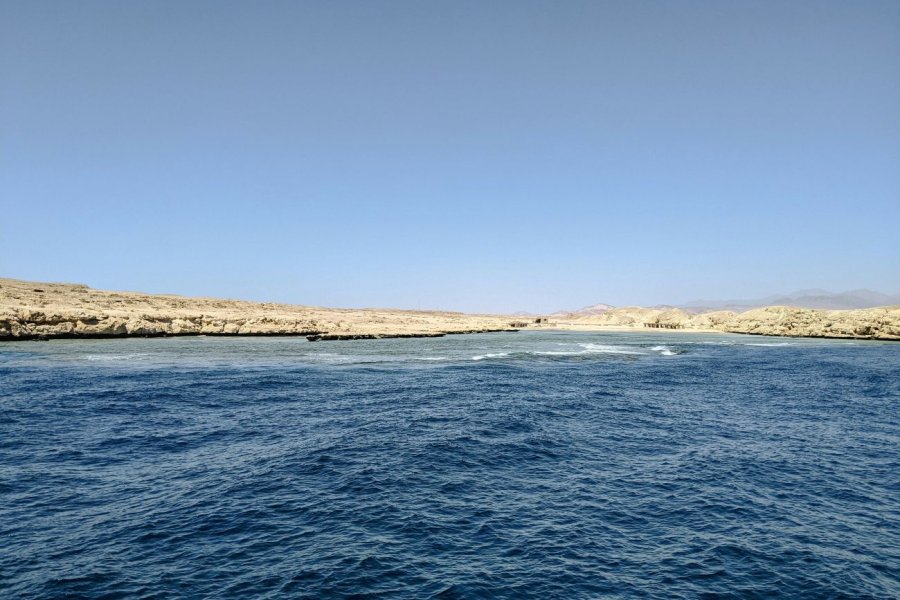 Trump can’t admit America just lost the strait of Hormuz